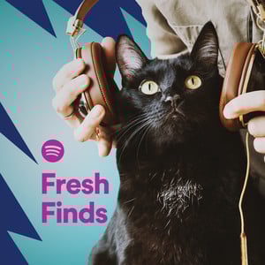 Fresh Finds 12/9/15 - Spotify