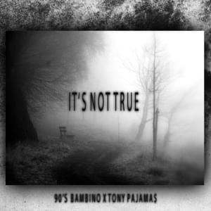 It’s Not True - 90s bambino (Ft. 93FEETOFSMOKE)