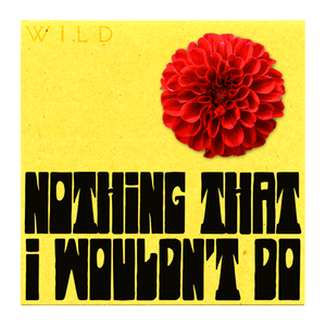 Nothing That I Wouldn’t Do - WILD