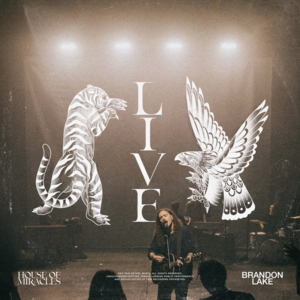 Son of Heaven [Live] - Brandon Lake (Ft. Dante Bowe & Matt Maher)