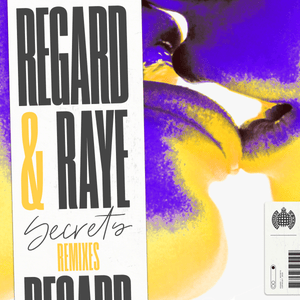 ‎Secrets (Tom Field Remix) - Regard & RAYE