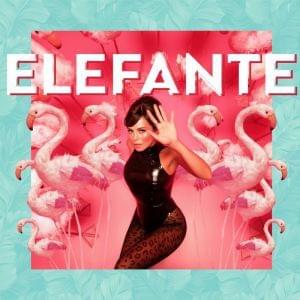 ELEFANTE - NK