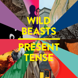 Past Perfect - Wild Beasts