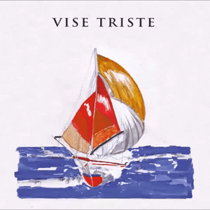 Vise Triste - Kazi Ploae