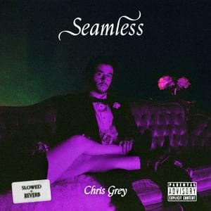 Seamless (Slowed + Reverb) - Chris Grey