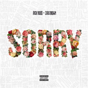 Sorry - Rick Ross (Ft. Chris Brown)