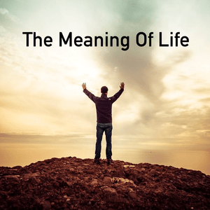 The Meaning Of Life - Alexis Saucedo