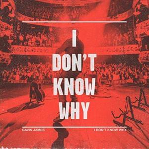 I Don’t Know Why (Danny Avila Remix) - Gavin James