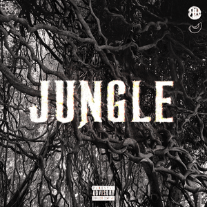 JUNGLE - BATO, JEEMBO & SEEMEE