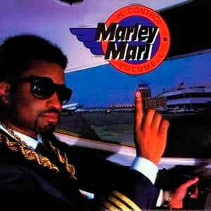 We Write the Songs - Marley Marl (Ft. Biz Markie & Heavy D)