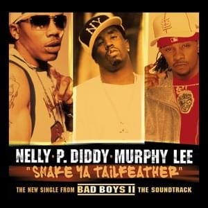 Shake Ya Tailfeather - Nelly, P. Diddy & Murphy Lee