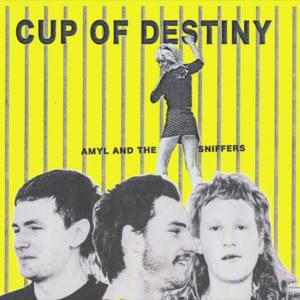 Cup of Destiny - Amyl and the Sniffers