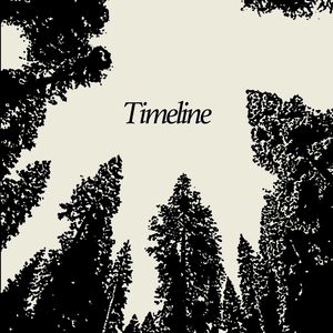 Timeline - ​​hey, nothing