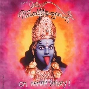 Shri Siddha Siddeshvari Mata Haidhakandeshvariji Aarati! - Nina Hagen