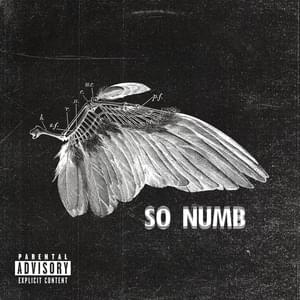 So Numb - TX2