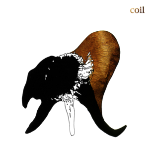 The Gimp (Sometimes) - Coil