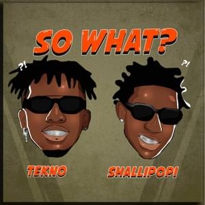 So What? - Tekno (Ft. Shallipopi)