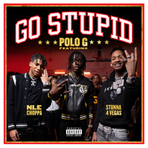 Go Stupid - Polo G, Stunna 4 Vegas & NLE Choppa (Ft. Mike WiLL Made-It)