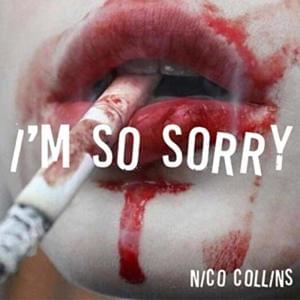 I’m So Sorry - Nico Collins