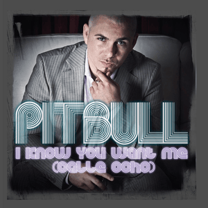 I Know You Want Me (Calle Ocho) - Pitbull