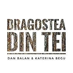 Dragostea din tei - Dan Bălan (Ft. Katerina Begu)