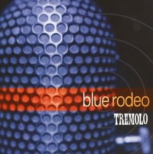 Fallen from Grace - Blue Rodeo