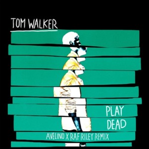 Play Dead (Avelino x Raf Riley Remix) - Tom Walker (Ft. Avelino)