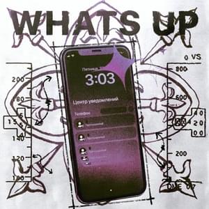 What’s up - Полка (polkapretty)