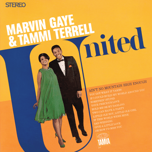 If I Could Build My Whole World Around You - Marvin Gaye & Tammi Terrell