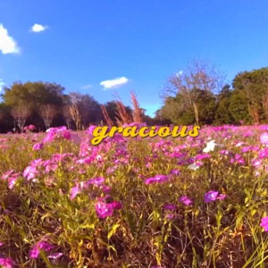 Gracious - MrHeadA$$Trendy (Ft. Riovaz)