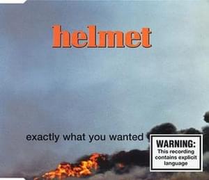 Exactly What You Wanted - Helmet