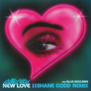 New Love (Shane Codd Remix) - Silk City & Ellie Goulding