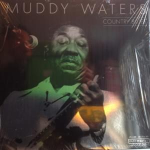 You Gonna Miss Me - Muddy Waters