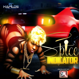 Indicator - Spice