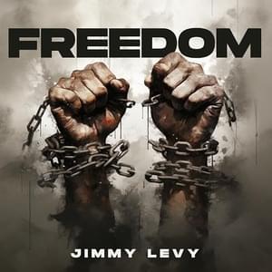 Freedom - Jimmy Levy (Ft. Angela Stanton King, BigNik, Forgiato Blow, General Michael Flynn, James McCoy Taylor, Jessica Sutta, King Bau, Liz Croken, Marcus Rogers, Mesus, Siggy Flicker, Trump Latinos & Zoe Levy)