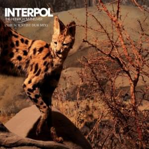 The Heinrich Maneuver (The Scientist Dub Mix) - Interpol