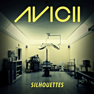 Silhouettes - Avicii (Ft. Salem Al Fakir)