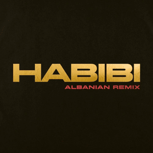 Ricky Rich, Dardan & DJ Gimi-O - Habibi (Albanian Remix) (English Translation) - Lyrxo English Translations