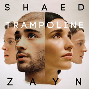 Trampoline (Remix) - SHAED & ZAYN