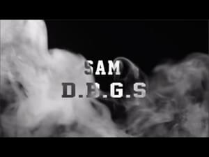 D.B.G.S - Şam