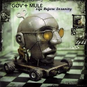 Tastes Like Wine - Gov't Mule