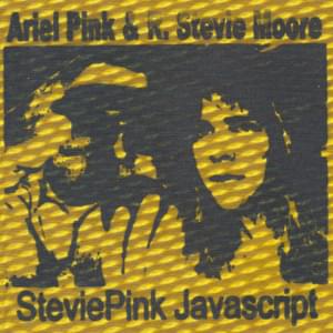 SteviePink Javascript - R. Stevie Moore & Ariel Pink