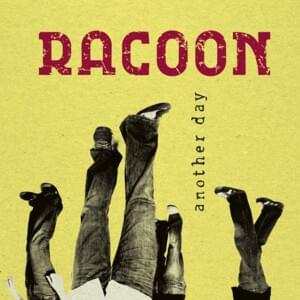 Hero’s In Town - Racoon