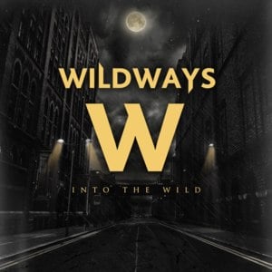 Don’t Give Up Your Guns - Wildways