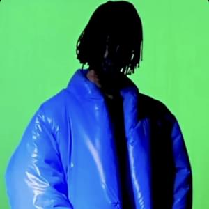 ​moncler coat - ​wolfacejoeyy