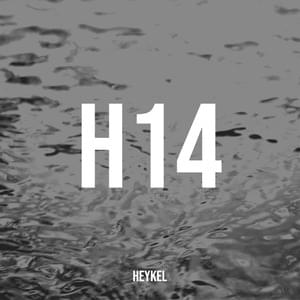 H14 - Heykel