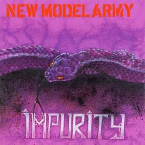 Bury The Hatchet - New Model Army