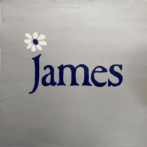 Lazy - James