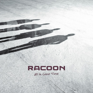 Young and wise - Racoon