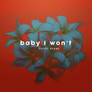 Baby I Won’t - Danny Ocean